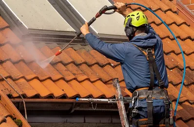 Démoussage et hydrofuge de toiture à Anould